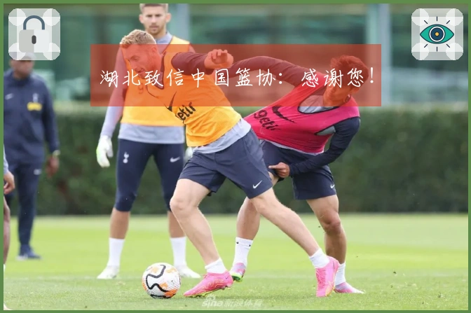 湖北致信中国篮协：感谢您！