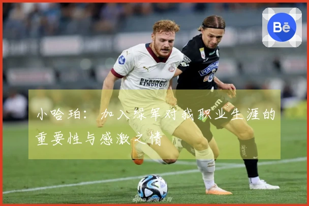 小哈珀：加入绿军对我职业生涯的重要性与感激之情