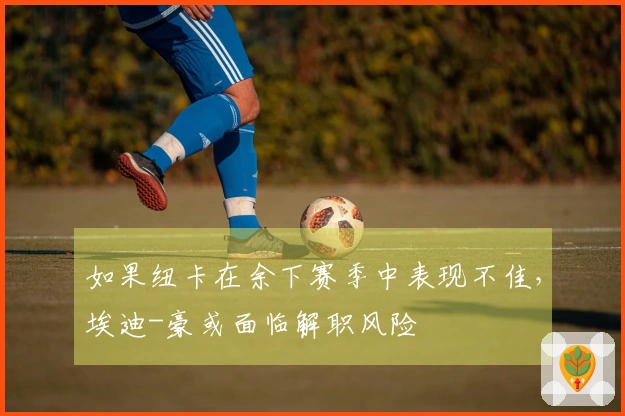如果纽卡在余下赛季中表现不佳，埃迪-豪或面临解职风险