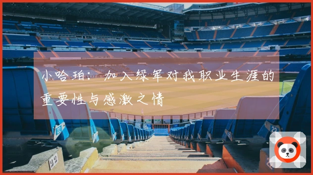 小哈珀：加入绿军对我职业生涯的重要性与感激之情