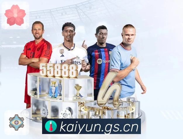 开云APP 高清赛事图